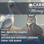 Bitter and Blessed Lessons from the Birds