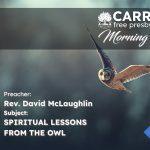 Spiritual Lessons From The Owl