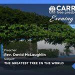 The Greatest Tree In The World