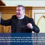 The Bald Eagle The Bald Eagle